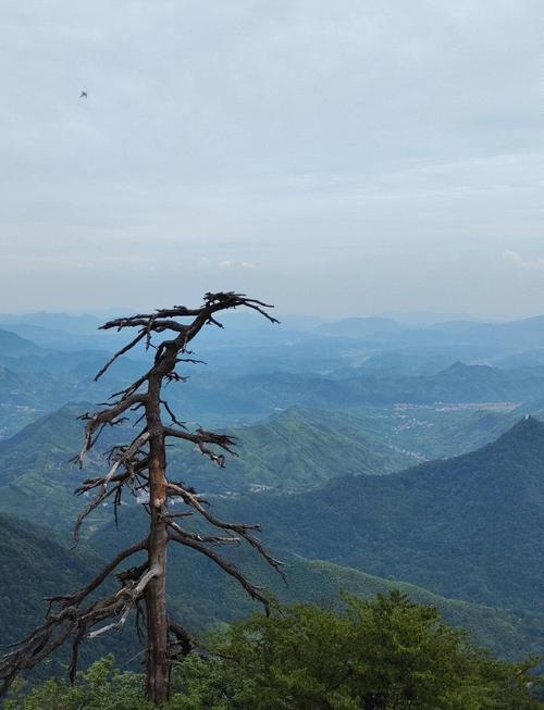 杭州市临安天气预报15天？杭州临安的天气预报？-第2张图片-优品飞百科