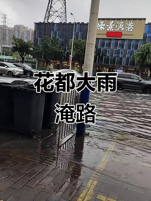 广州花都天气预报，广州花都天气预报15天查询百度？-第3张图片-优品飞百科