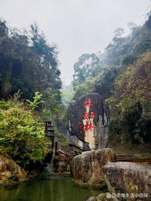 泉州市永春县天气预报，永春实时天气预报24小时-第4张图片-优品飞百科