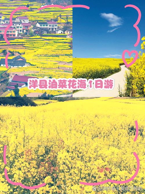 陕西洋县天气预报，洋县天气预警？-第3张图片-优品飞百科