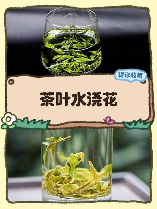 茶水可以浇花吗?老白茶水可以浇花吗?-第3张图片-优品飞百科 茶水可以浇花吗?老白茶水可以浇花吗?-第3张图片-优品飞百科