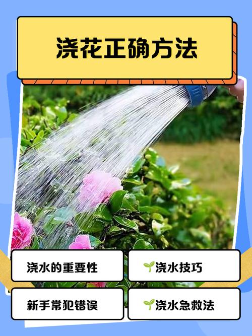 茶水可以浇花吗?老白茶水可以浇花吗?-第4张图片-优品飞百科 茶水可以浇花吗?老白茶水可以浇花吗?-第4张图片-优品飞百科