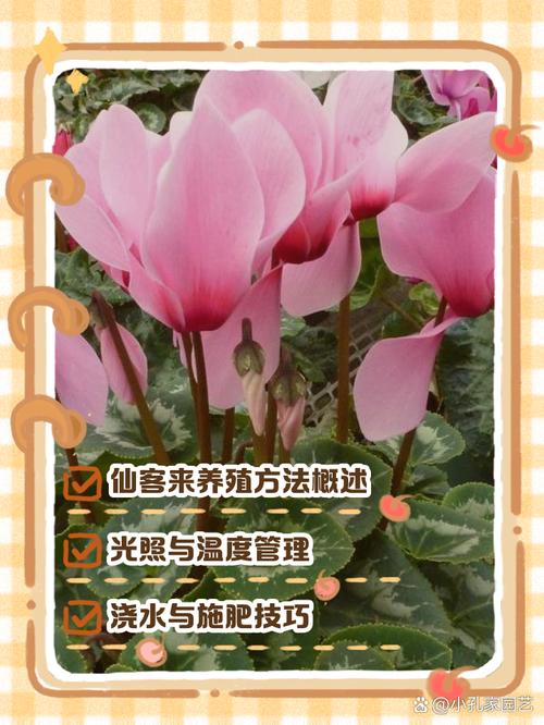 雁来红的病虫害及其防治，雁来红是什么植物？-第7张图片-优品飞百科