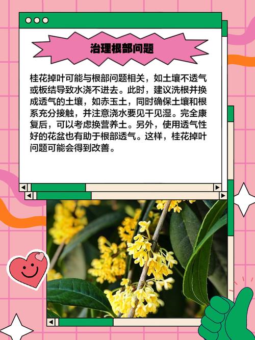 桂花树移植怎保成活，桂花树如何移植？-第3张图片-优品飞百科