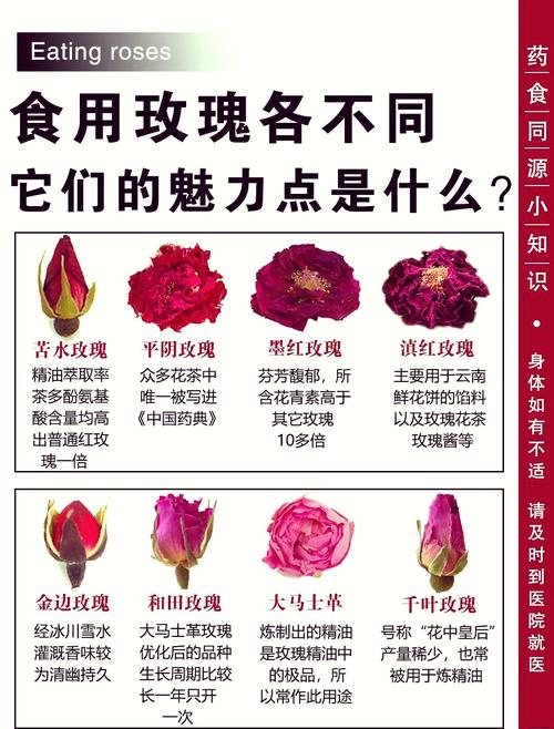 玫瑰花的功效与作用，玫瑰花怎么吃？玫瑰花作用功效效与作用？-第1张图片-优品飞百科