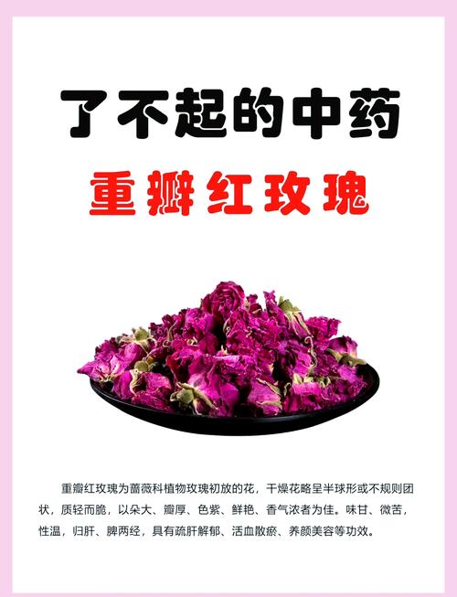 玫瑰花的功效与作用，玫瑰花怎么吃？玫瑰花作用功效效与作用？-第4张图片-优品飞百科