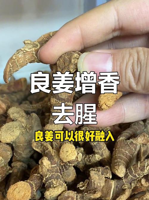 良姜的功效与作用？良姜在调料中的作用？-第5张图片-优品飞百科