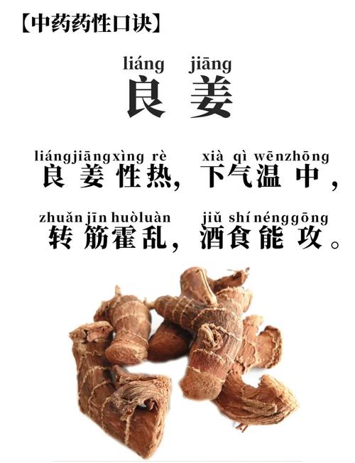 良姜的功效与作用？良姜在调料中的作用？-第6张图片-优品飞百科