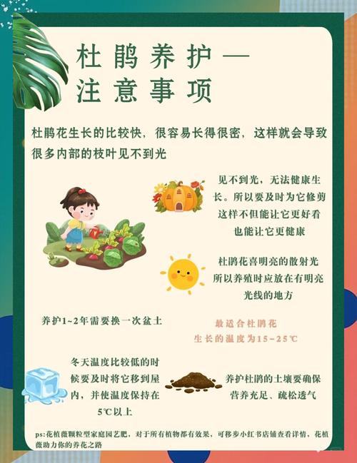 杜鹃如何养殖，杜鹃如何养殖方法？-第2张图片-优品飞百科