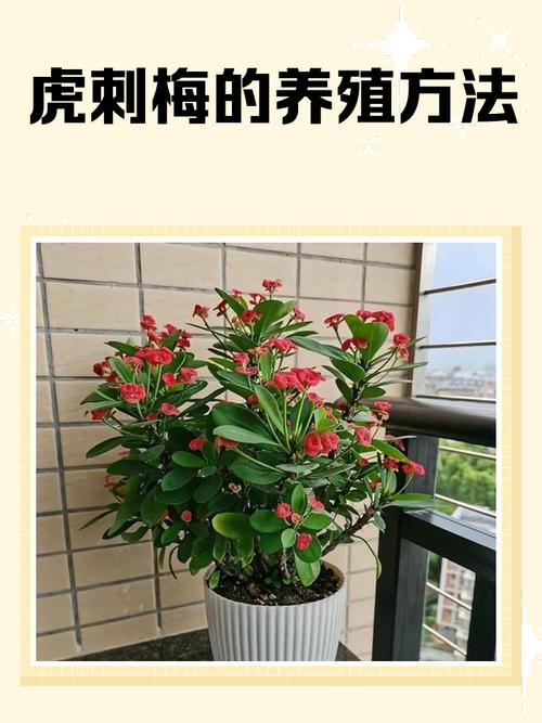 虎刺梅致癌吗，虎刺梅致癌吗能吃吗