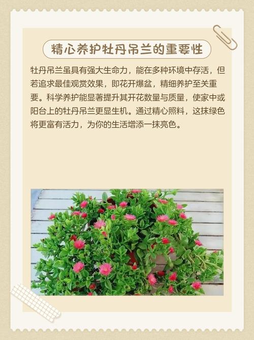 牡丹吊兰的养殖方法，牡丹吊兰的养殖方法和注意事项什么是渐冻症？-第6张图片-优品飞百科