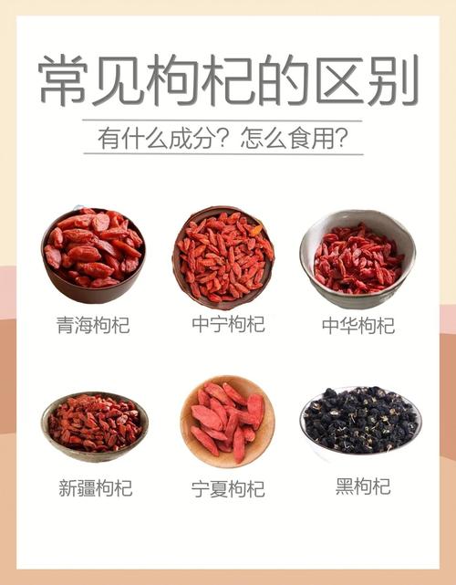 枸杞有哪些品种,枸杞哪些品种好-第2张图片-优品飞百科 枸杞有哪些品种,枸杞哪些品种好-第2张图片-优品飞百科