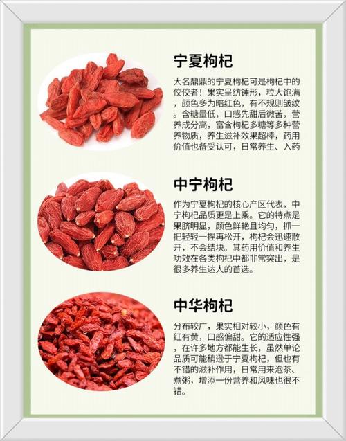 枸杞有哪些品种,枸杞哪些品种好-第3张图片-优品飞百科 枸杞有哪些品种,枸杞哪些品种好-第3张图片-优品飞百科