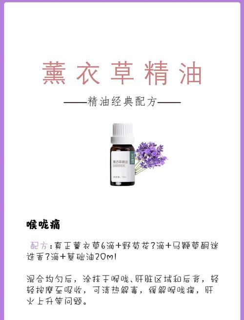 薰衣草的功效与作用,薰衣草精油的功效与作用?-第4张图片-优品飞百科 薰衣草的功效与作用,薰衣草精油的功效与作用?-第4张图片-优品飞百科