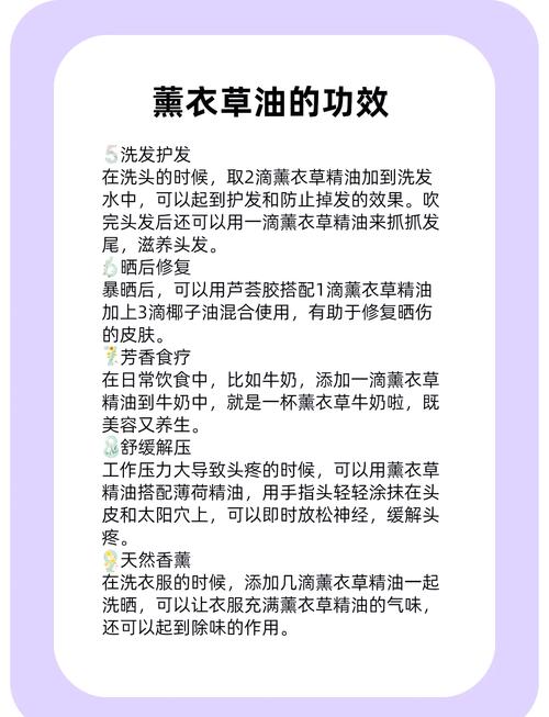 薰衣草的功效与作用,薰衣草精油的功效与作用?-第5张图片-优品飞百科 薰衣草的功效与作用,薰衣草精油的功效与作用?-第5张图片-优品飞百科