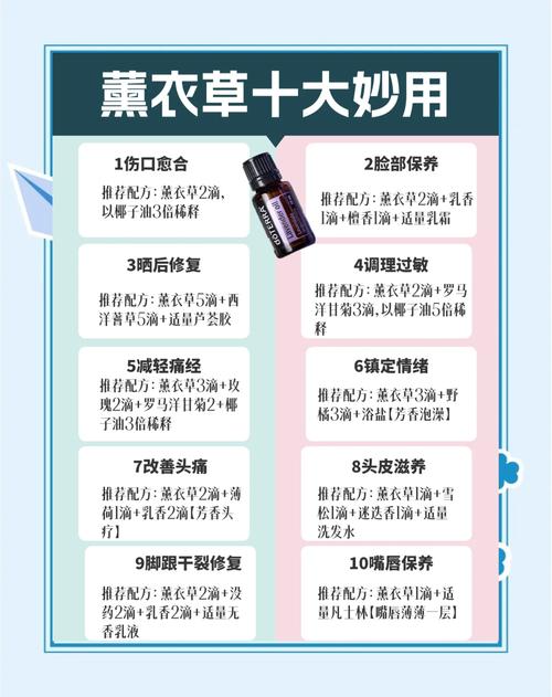 薰衣草的功效与作用,薰衣草精油的功效与作用?-第6张图片-优品飞百科 薰衣草的功效与作用,薰衣草精油的功效与作用?-第6张图片-优品飞百科