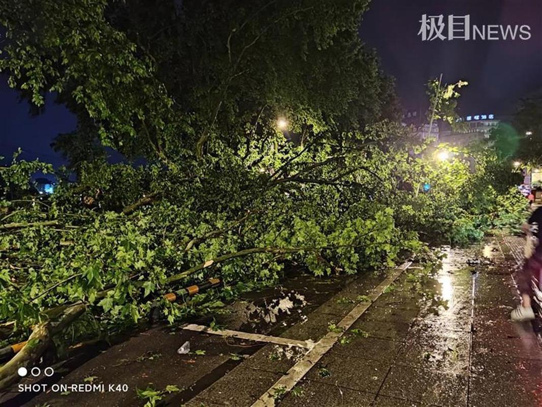 天气预报15天当地濂溪区，濂溪区今日天气-第2张图片-优品飞百科