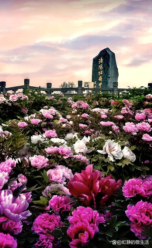 郏县天气预报三十天查询，郏县天气预报实时？