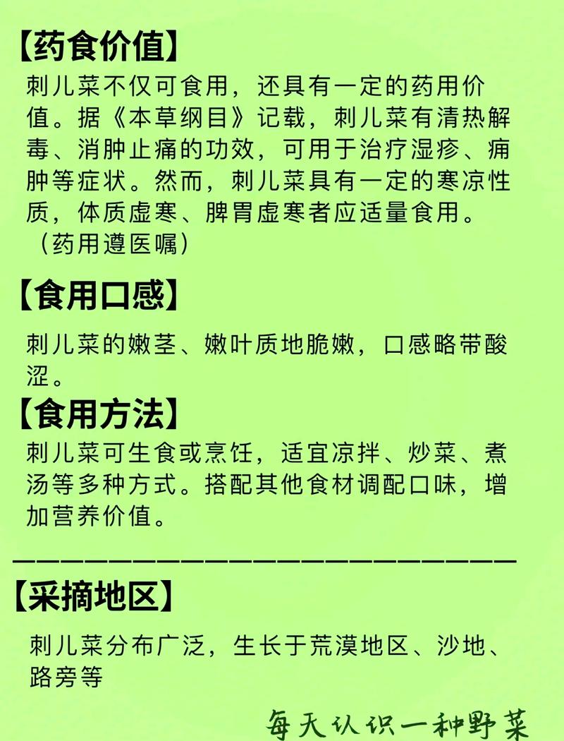 刺儿菜的功效与作用？刺儿菜的功效与作用及用途？-第3张图片-优品飞百科