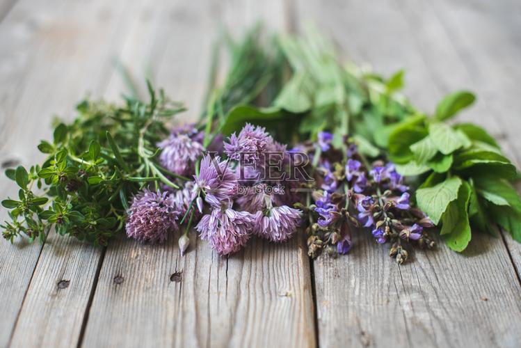 鼠尾草和迷迭香的区别，鼠尾草和迷迭香的区别图片