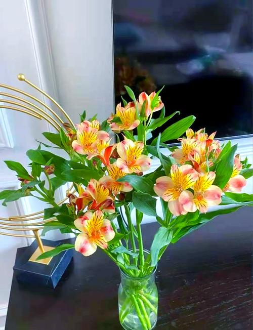 包含这“3种”花,现在就扦插,过年就开花,错过就要等明年的词条-第3张图片-优品飞百科 包含这“3种”花,现在就扦插,过年就开花,错过就要等明年的词条-第3张图片-优品飞百科