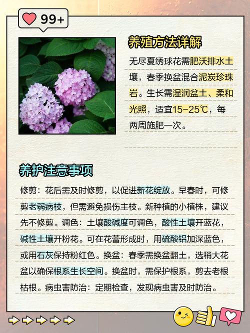 无尽夏绣球的养护方法及注意事项，无尽夏绣球的优缺点？-第3张图片-优品飞百科