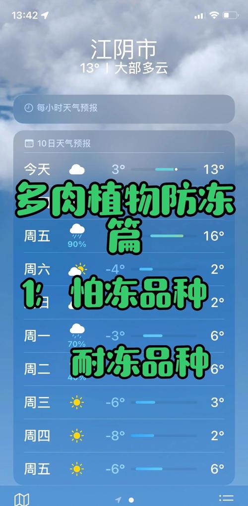 塑料瓶扣多肉上，多肉套上塑料袋-第3张图片-优品飞百科