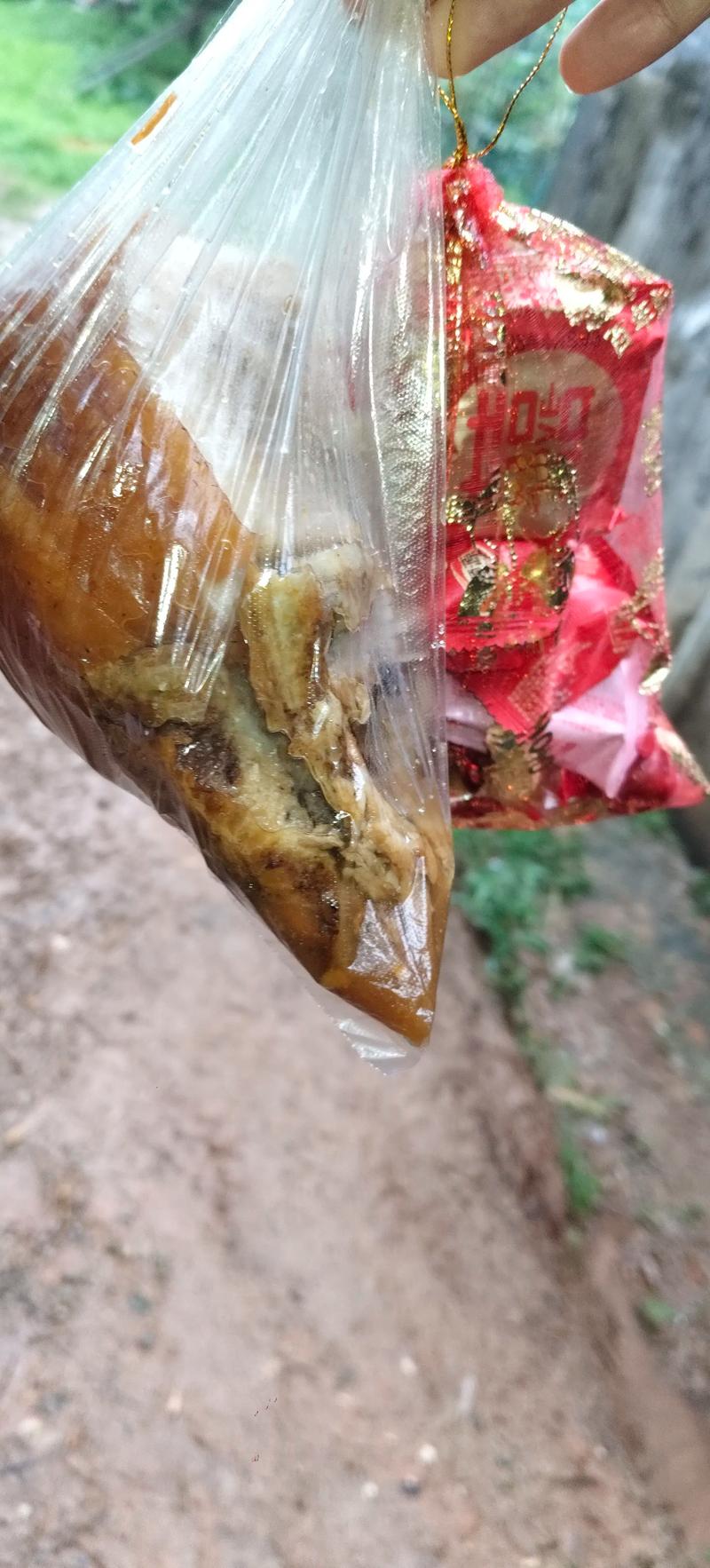 塑料瓶扣多肉上，多肉套上塑料袋-第5张图片-优品飞百科