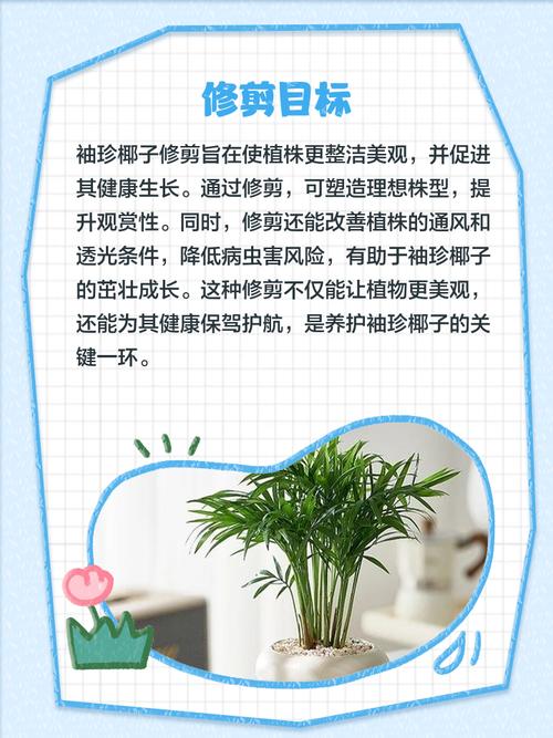 如何给夏威夷椰子换盆?夏威夷椰子怎么浇水?-第2张图片-优品飞百科 如何给夏威夷椰子换盆?夏威夷椰子怎么浇水?-第2张图片-优品飞百科