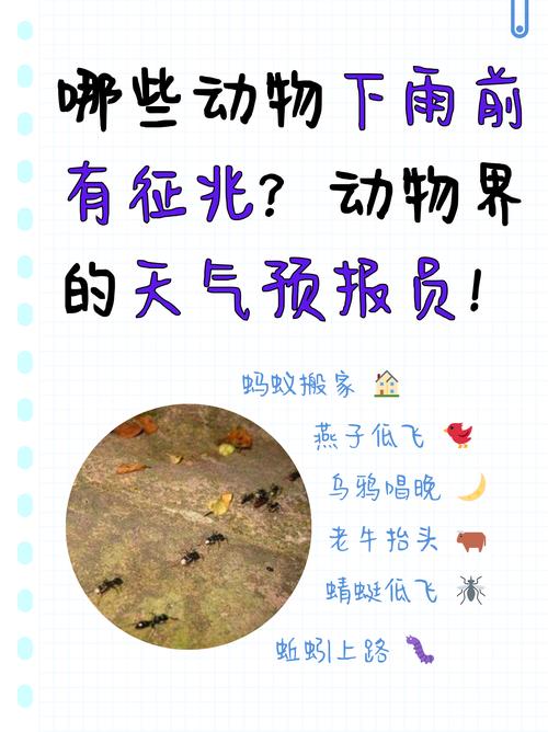 天气情况都有哪些变化现象和原因，天气变化的预兆现象？-第5张图片-优品飞百科