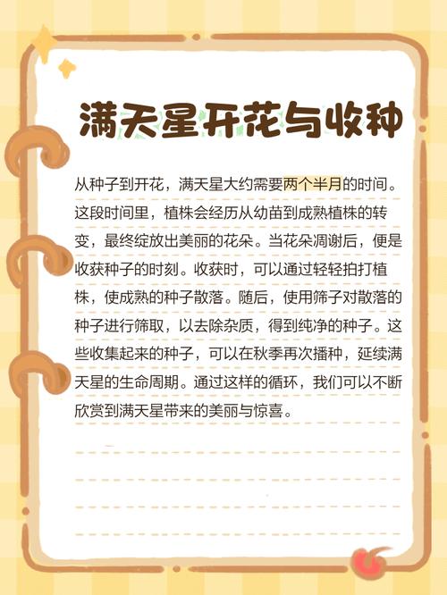 满天星种子一盆放几个，是什么颜色？满天星种子种几粒？-第3张图片-优品飞百科