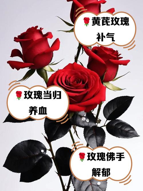 玫瑰花在风水上有忌讳吗，玫瑰花在风水上有忌讳吗女生？