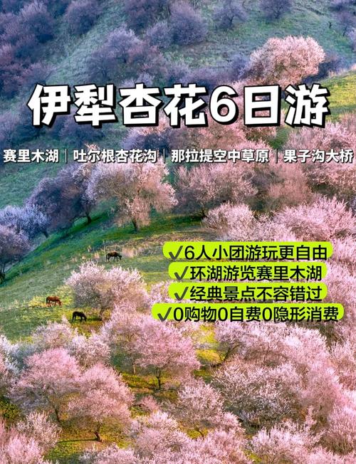 哈密市伊州区天气预报直播，哈密市伊州区天气预报15天查询？-第5张图片-优品飞百科
