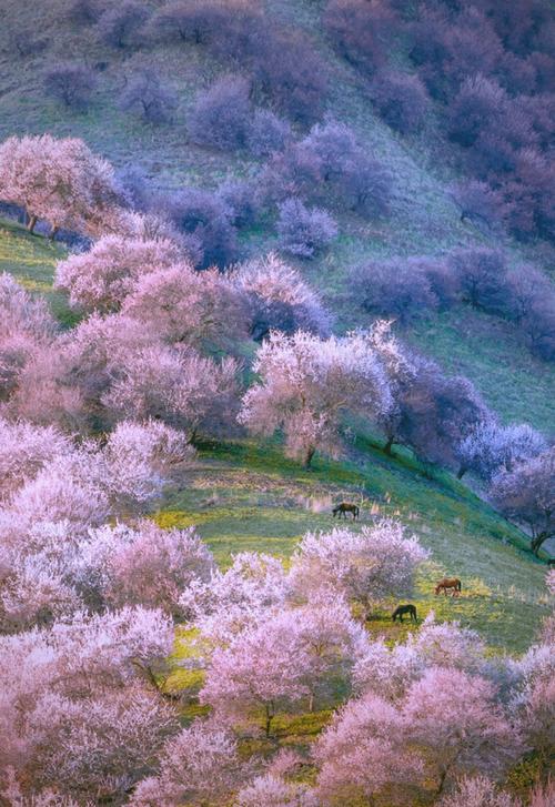 哈密市伊州区天气预报直播，哈密市伊州区天气预报15天查询？-第6张图片-优品飞百科