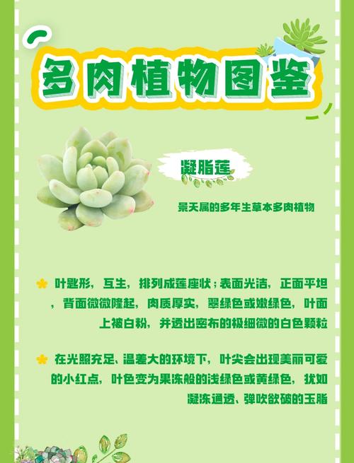 凝脂莲养殖方法和注意事项，凝脂莲养殖方法和注意事项视频-第5张图片-优品飞百科