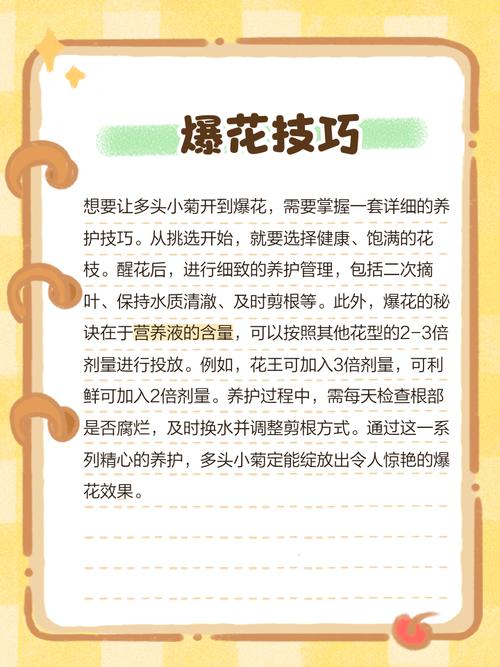 多头菊的养殖方法及注意事项，多头菊栽培管理技术-第3张图片-优品飞百科