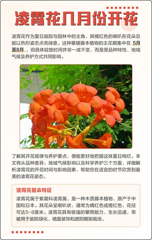 凌霄花种几年能开花？凌霄花花期多久一年开几次花？-第4张图片-优品飞百科