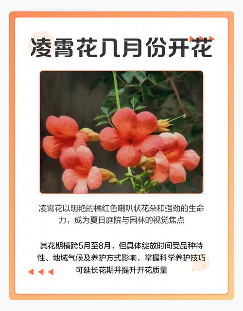 凌霄花种几年能开花？凌霄花花期多久一年开几次花？-第5张图片-优品飞百科