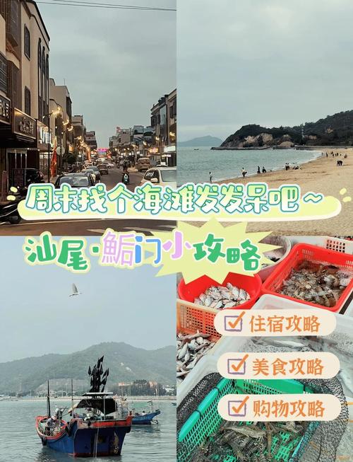 海丰天气预报最新消息15天查询,海丰县天气预报查询一周-第5张图片-优品飞百科 海丰天气预报最新消息15天查询,海丰县天气预报查询一周-第5张图片-优品飞百科