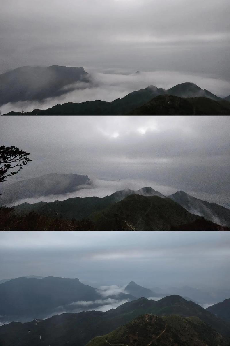 海丰天气预报最新消息15天查询,海丰县天气预报查询一周-第4张图片-优品飞百科 海丰天气预报最新消息15天查询,海丰县天气预报查询一周-第4张图片-优品飞百科