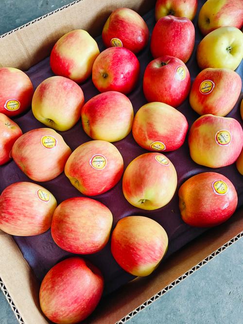 罗汉果的植物文化,竟然还有这种说法！，罗汉果的植物图片？-第5张图片-优品飞百科