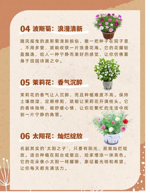 朱兰的养殖方法和注意事项,朱兰花图片-第7张图片-优品飞百科 朱兰的养殖方法和注意事项,朱兰花图片-第7张图片-优品飞百科