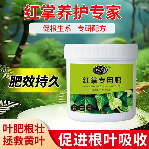 自制红掌肥料？怎样自制红掌的花肥？