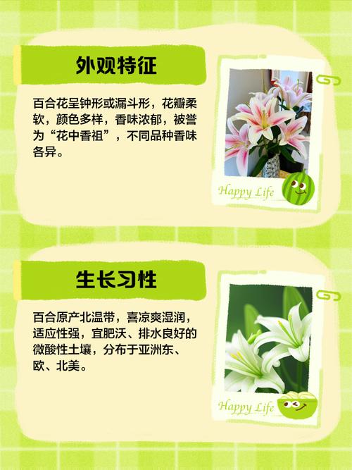 如何买到新鲜的花？如何挑选新鲜的花材？