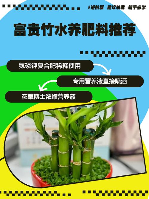 阿司匹林养富贵竹怎么用，阿司匹林水养富贵竹-第4张图片-优品飞百科