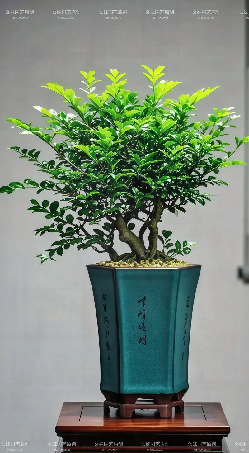 2种植物一起种,净化空气效果倍增,什么植物净化空气比较好好养?-第4张图片-优品飞百科 2种植物一起种,净化空气效果倍增,什么植物净化空气比较好好养?-第4张图片-优品飞百科