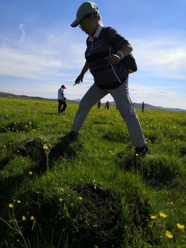 今晚顺义区天气预报，北京地区顺义今天天气预报？-第4张图片-优品飞百科