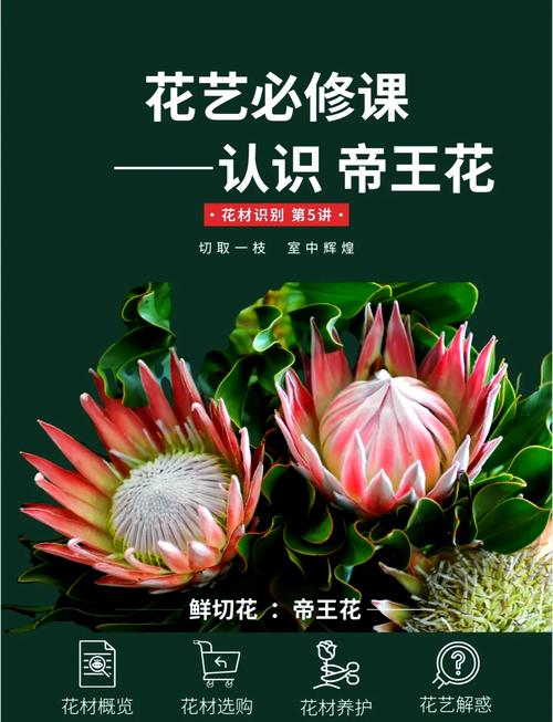 帝王花的养殖方法和注意事项，帝王花的养殖方法和注意事项有哪些-第3张图片-优品飞百科