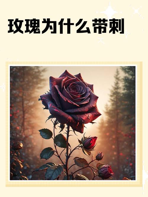 玫瑰刺有毒吗,被扎伤后该怎么处理?,玫瑰刺扎了怎么办?-第5张图片-优品飞百科 玫瑰刺有毒吗,被扎伤后该怎么处理?,玫瑰刺扎了怎么办?-第5张图片-优品飞百科