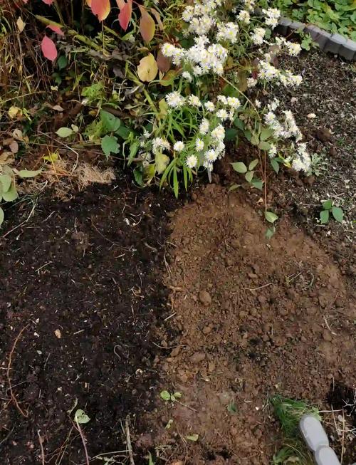 园土是什么土，怎么改良种花，园土怎么配比成营养土？